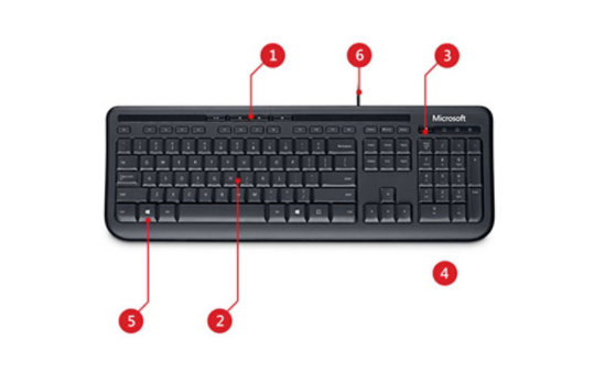 Teclado Microsoft Wired Keyboard 600 USB Español