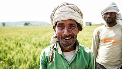 Two farm workers during wheat harvest in a field near Delhi—one is smiling and looking at camera.