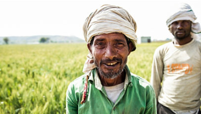 Two farm workers during wheat harvest in a field near Delhi—one is smiling and looking at camera.