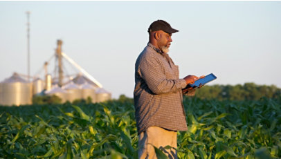 Farmer holding a digital tablet in a crop field.