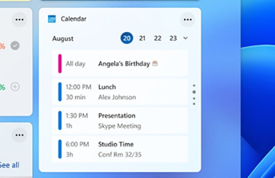 The Calendar Widget showing appointments