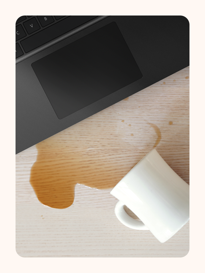 Microsoft Complete Protection Plan.