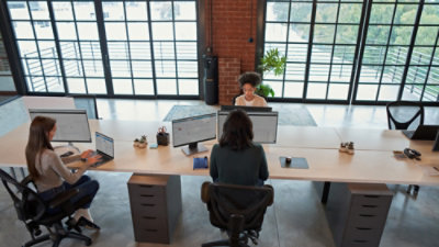 Employees working in an office with good natural lighting.