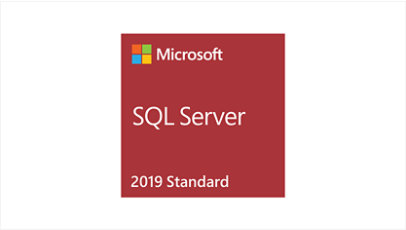 Windows SQL Server logo