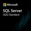 SQL Server Standard 2022