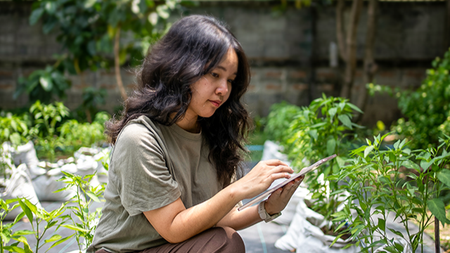 A woman crouches among rows of plants while looking at an electric tablet.