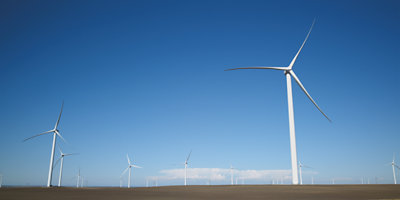 Wind turbines in a field