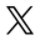 X Icon