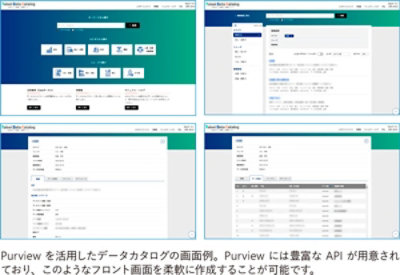 Purview 活用データカタログ画面例
