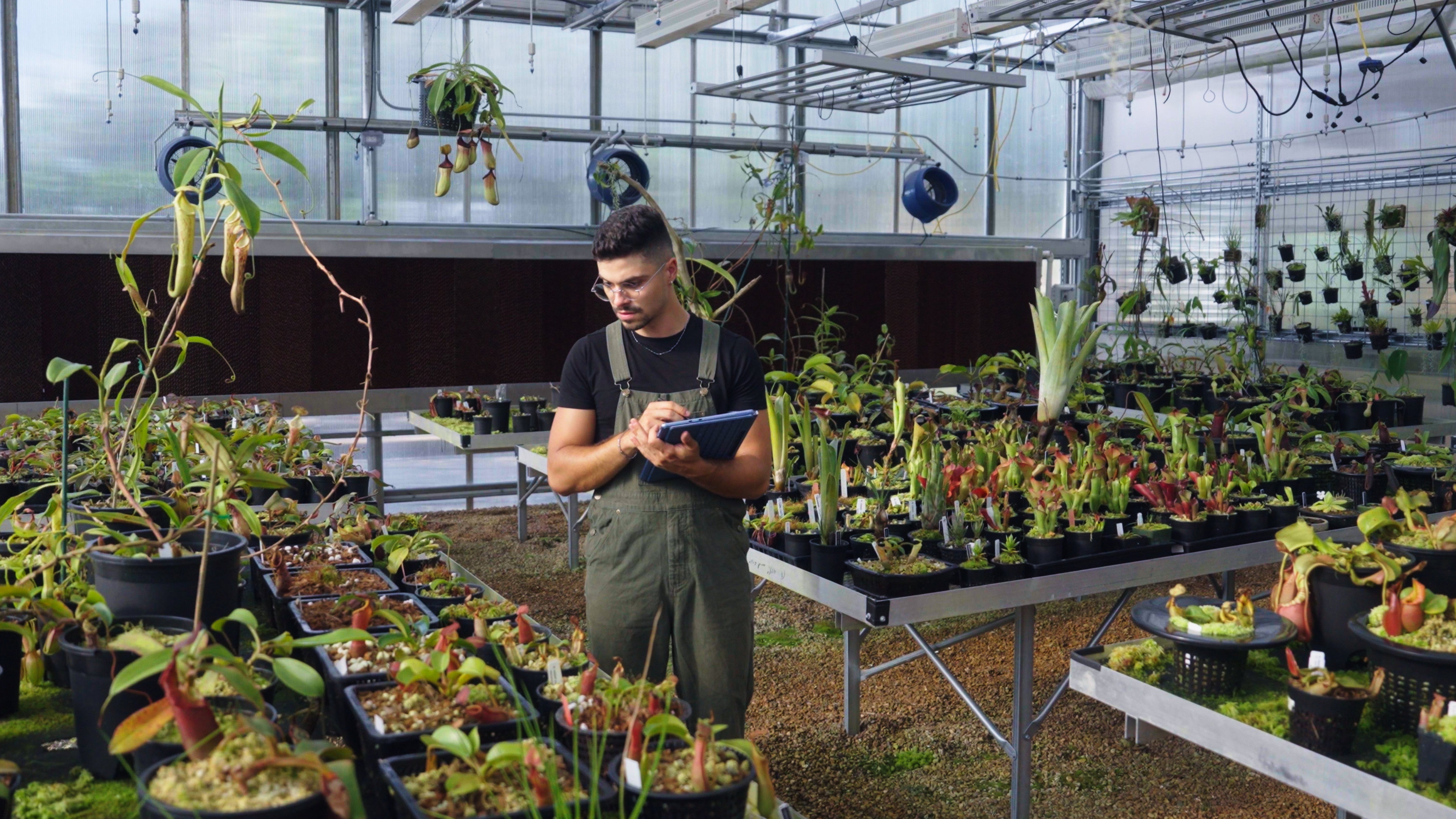 Best Surface Pro Features for Gardeners | Microsoft Surface