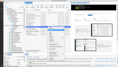 查看 JSON 格式丰富的文本数据、查看 PDF 文档和浏览图像，无需将文件下载到计算机。