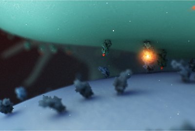 A close up of an immune system in action 