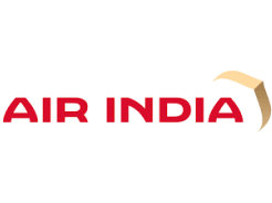 AIR INDIA logosunun yakından görünüşü.