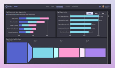 A screenshot of a dashboard embedded into an application