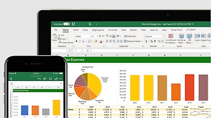 Mobile and desktop displays of an expenses spreadsheet in Excel