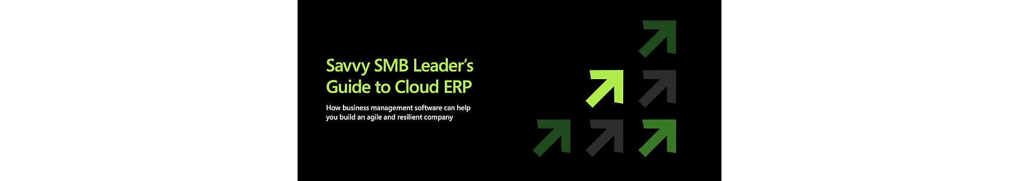 Savvy smb leader's guide to cloud erp.