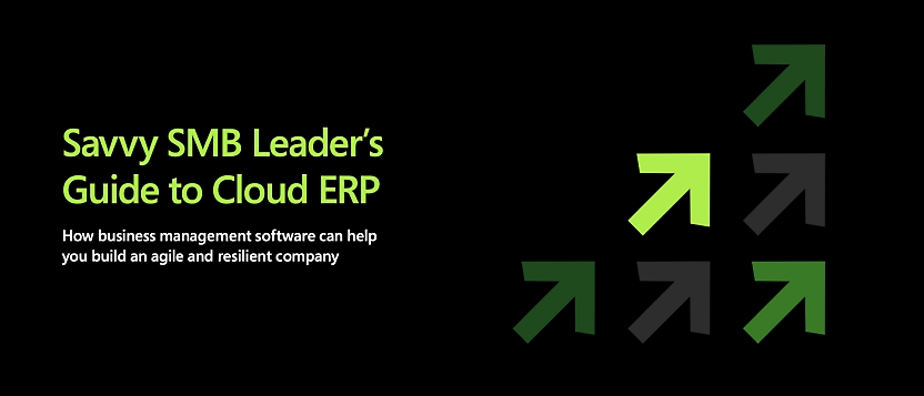 Guia de ERP na cloud para líderes experientes de PMEs.