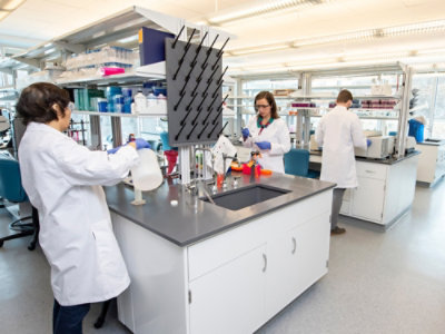 A group of people in lab coats working in a laboratory