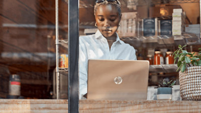 A person working on a laptop in a store.