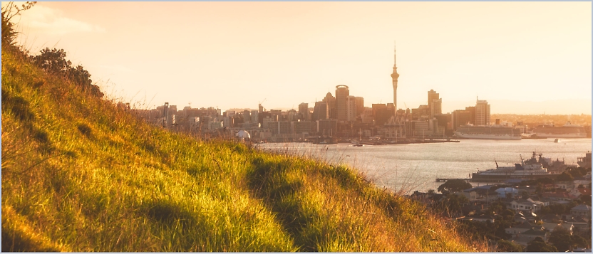 A grassy hill overlooks a city skyline with tall buildings and a prominent tower near a body of water at sunset.