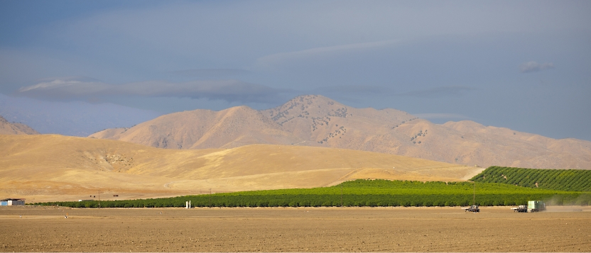 Expansive farmland with a row of green crops bordered by arid, beige terrain.