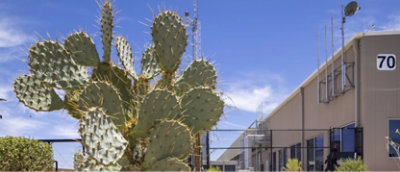 A large cactus stands in front of a fenced industrial building with the number 70 on its wall.