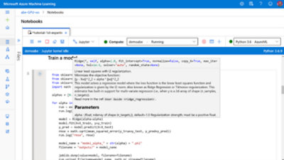 Parameters being set for a model being trained in Azure Machine Learning