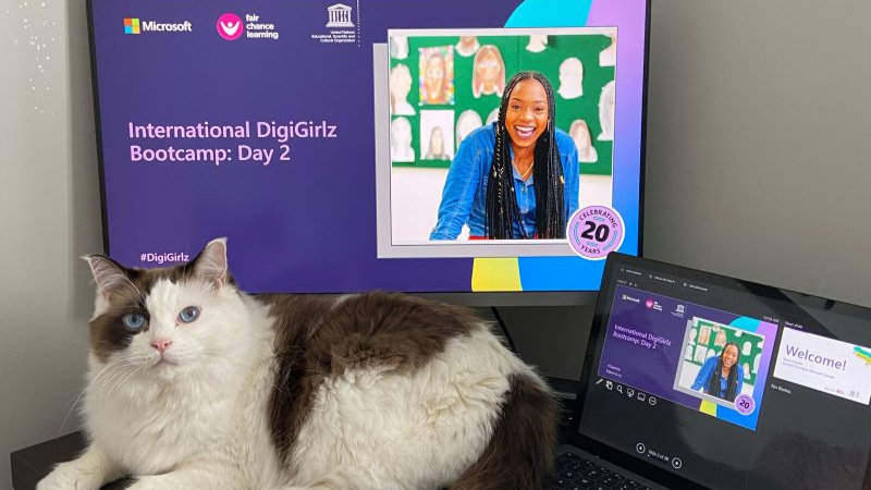 L’événement international Digigurlz Bootcamp se déroule sur les écrans d’un moniteur et d’un ordinateur portable. Un chat est également assis près d’eux.