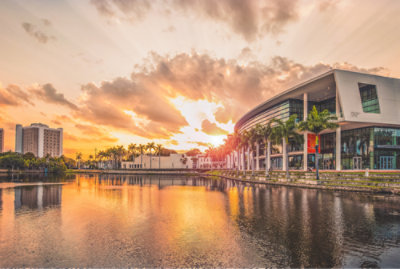 야자수와 물이 있는 건물