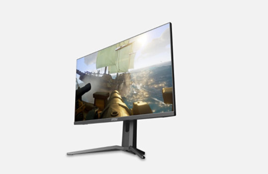 MSI Optix MAG273R Gaming Monitor