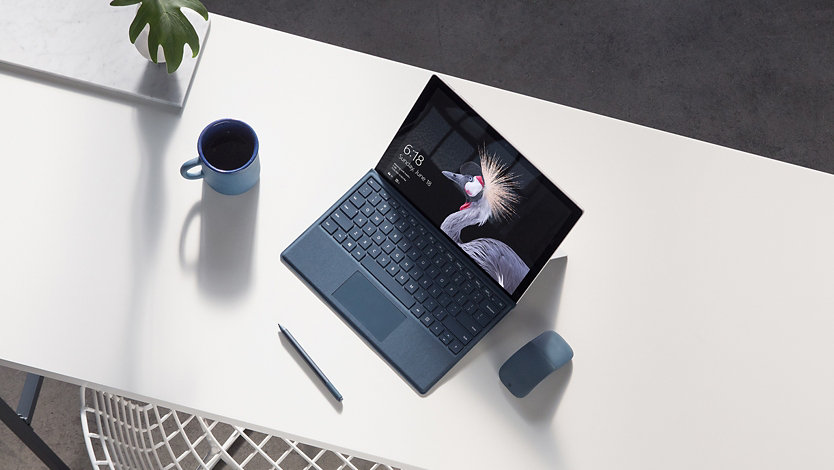 Buy Surface Pro 5th Gen for Business - Microsoft Store