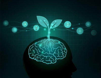 A brain with a plant growing out of it.