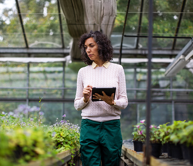 In a greenhouse filled with various potted plants, a woman stands thoughtfully, holding a tablet. She has curly hair and is wearing a light pink sweater over a collared shirt, complemented by green pants. The atmosphere is vibrant, with greenery surrounding her.