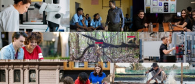 A collage featuring people, children, a man in a blue shirt, a person in a white shirt, a close-up of a plane, and a white and black device.