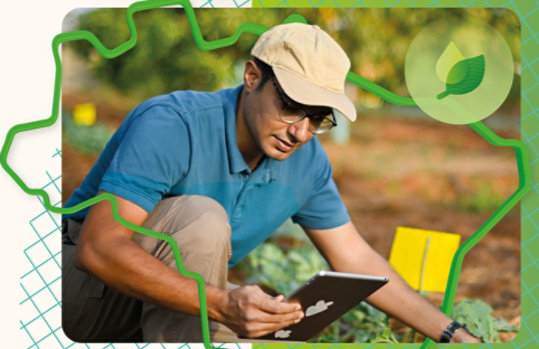 Pessoa com boné usando tablet em plantação com ícone de sustentabilidade.