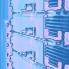 トレーニングアイコン