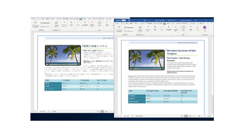 MS Wordアプリケーションで操作する