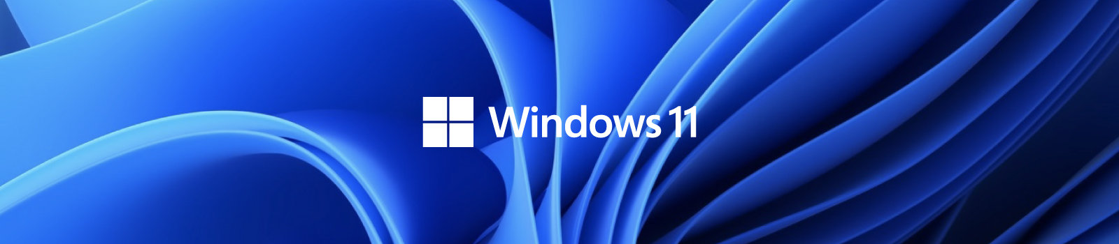 Windows 11 のイメージ