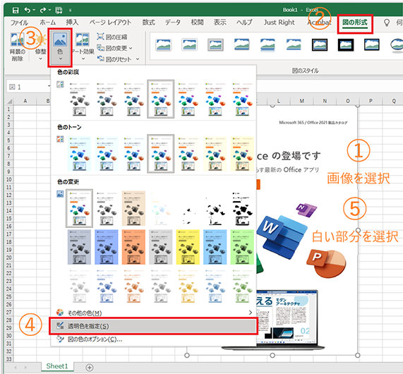 Excel シートに挿入した画像の透明色の指定