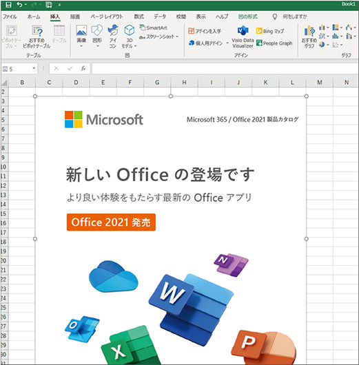 クリップ ボードにコピーした画像が Excel シートに貼り付けられた状態