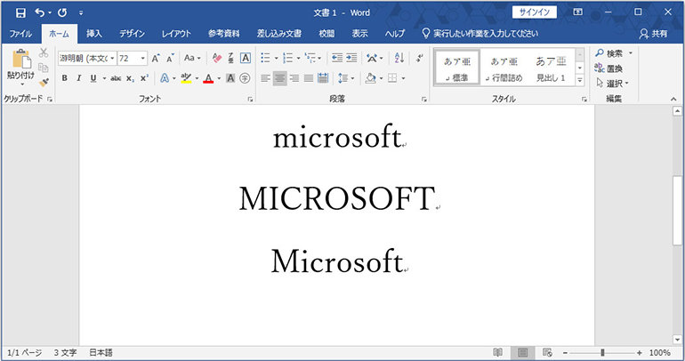 Microsoft Word の大文字・小文字の表示