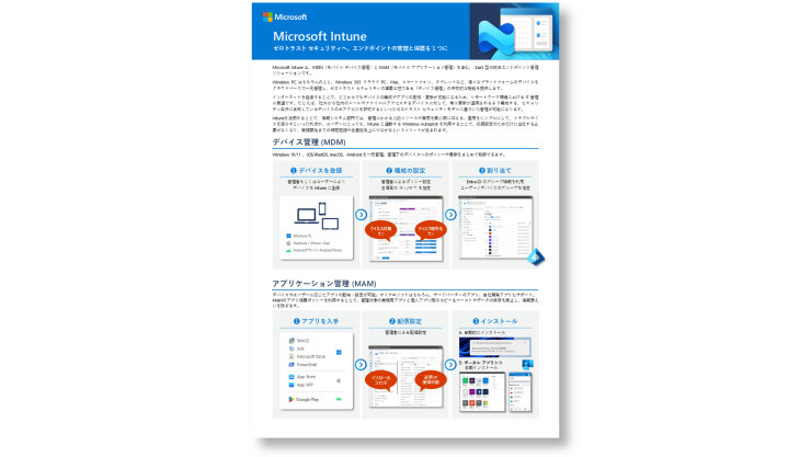 Microsoft Intune カタログ