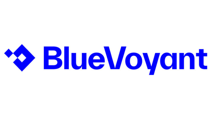 Company logo of BlueVoyant.