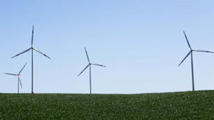 a windmill farm