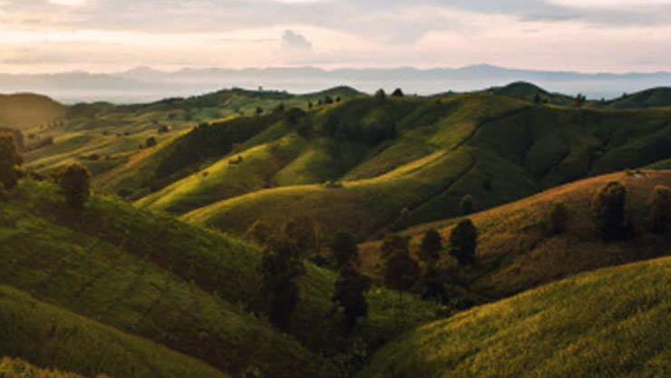 a valley view