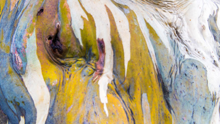 A bird’s eye view of a mine