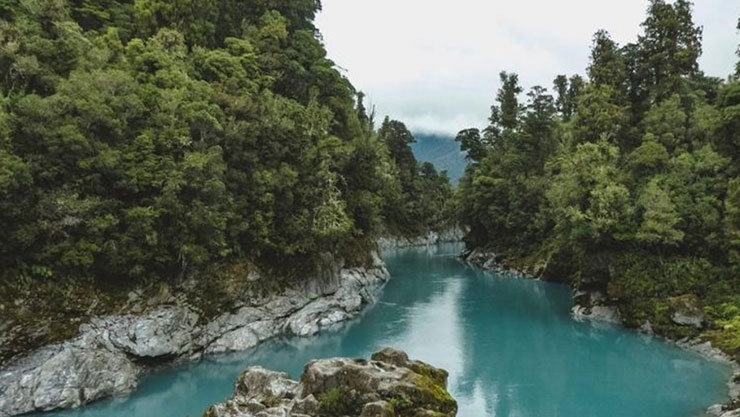 a river passing through a forest