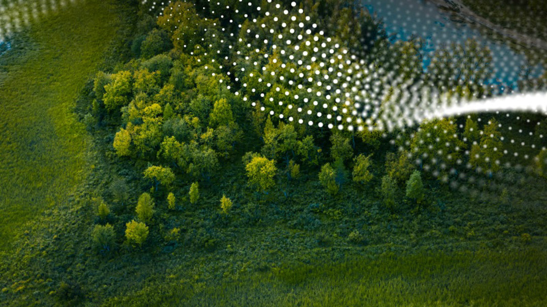 a green landscape with a microsoft illustration on top