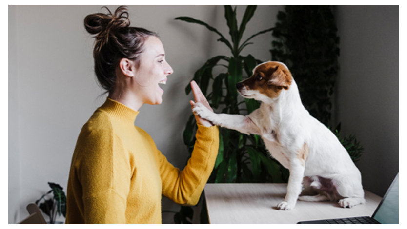 Eine Frau und ein Hund geben sich High Five