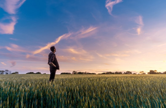 Φωτογραφία Sustainability. Άνδρας σε χωράφι με στάχια αγναντεύει τα χρώματα του ουρανού.